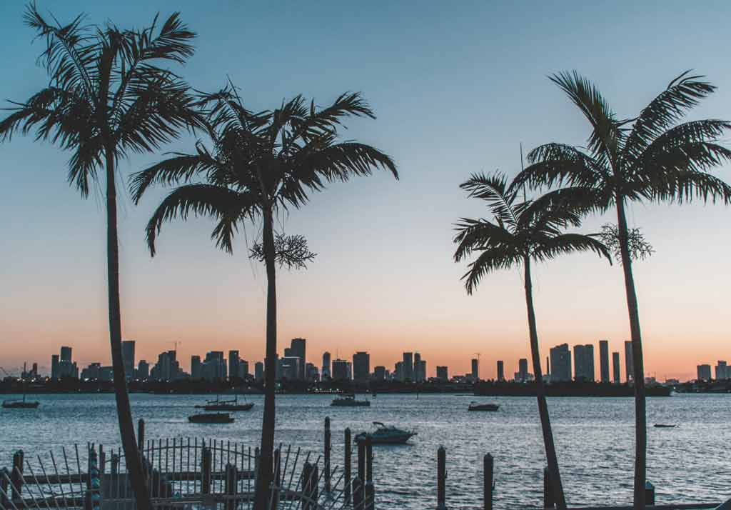 Movers New York to Florida
